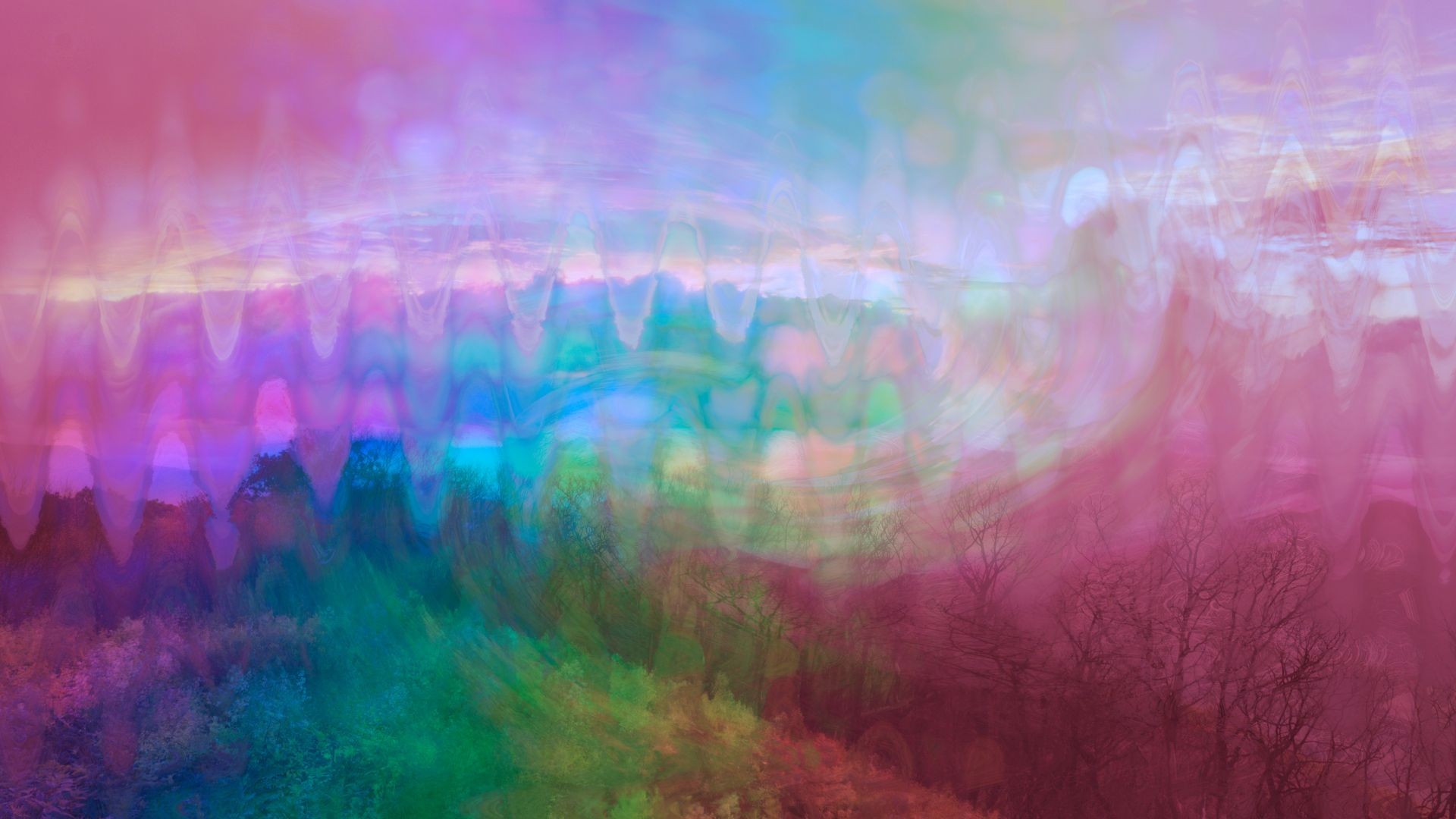 A psychedelic view of forest scenery in Western North Carolina.